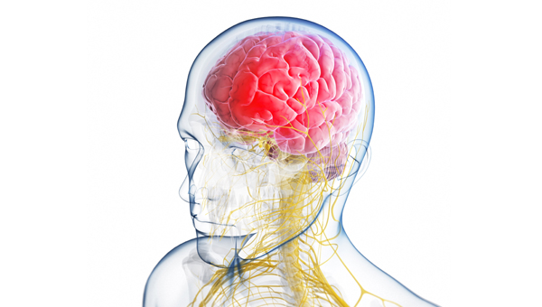 Neurology